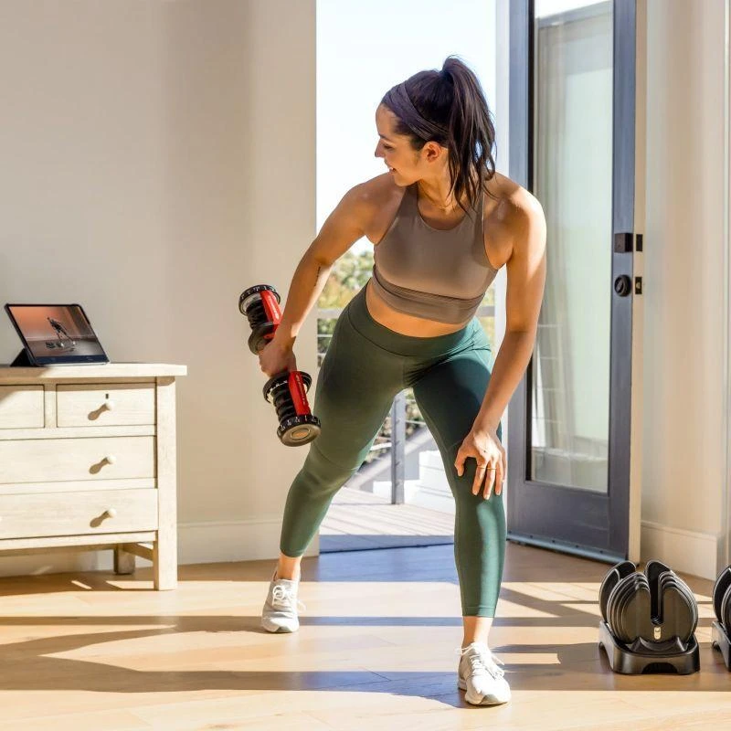 Reguliuojamo svorio hantelis BOWFLEX SelectTech 552i orginalus