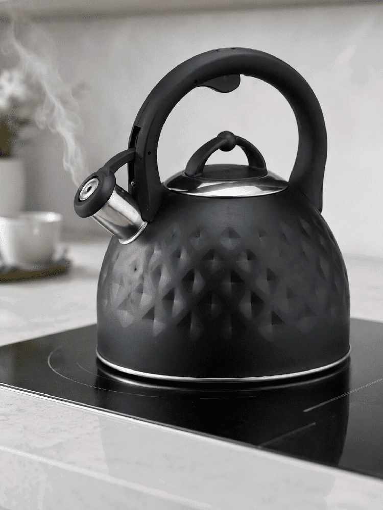 Brock La Cuisinette MWK 002 BK virdulys, 2,7 l, juodas / plienas