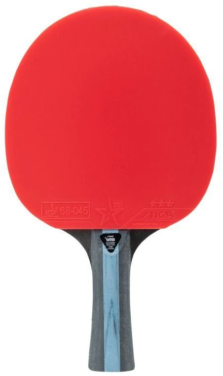BŪSIMOJI 3 ŽVAIGŽDUČIŲ raketa