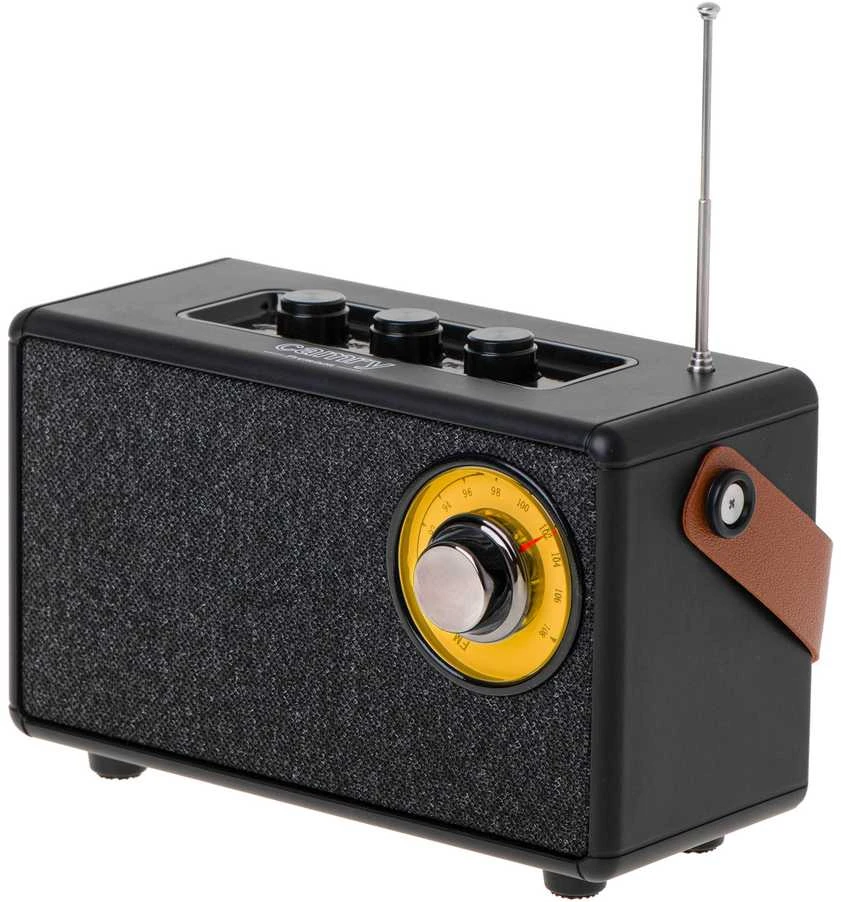 Camry | Speaker with radio | CR 1902 B | Juodas | Belaidė jungtis