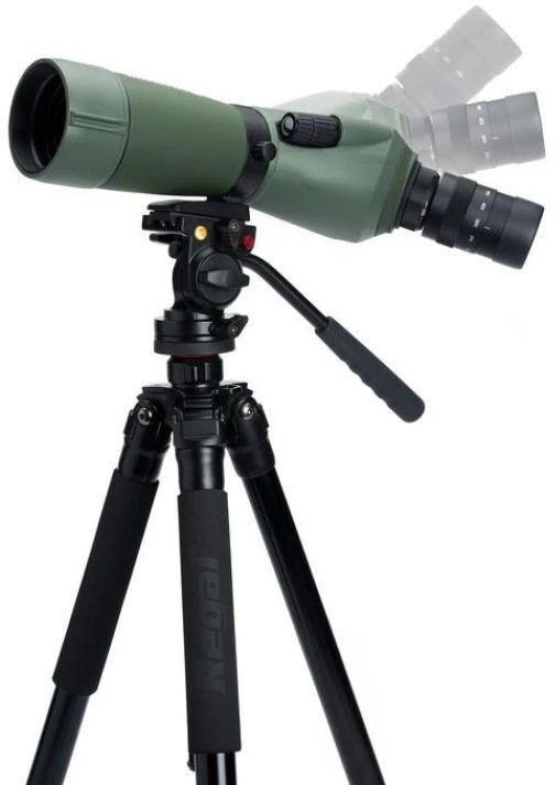 Žiūronai KitchenAid Celestron Regal M2 65ED Optika 48x BaK-4 Juoda, Žalia
