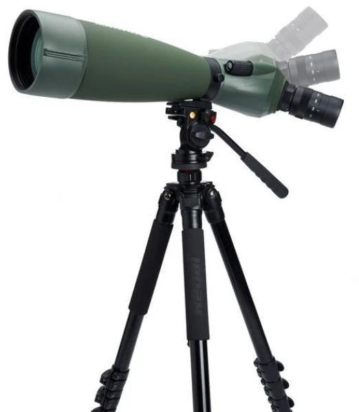 Žiūronai Celestron Regal M2 80ED 60x BaK-4 Teleskopas Juodas, Žalias