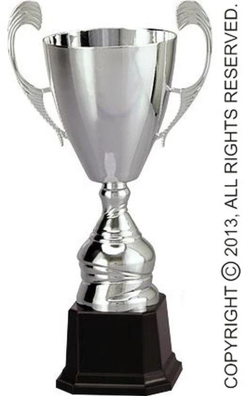 CUP 4105C
