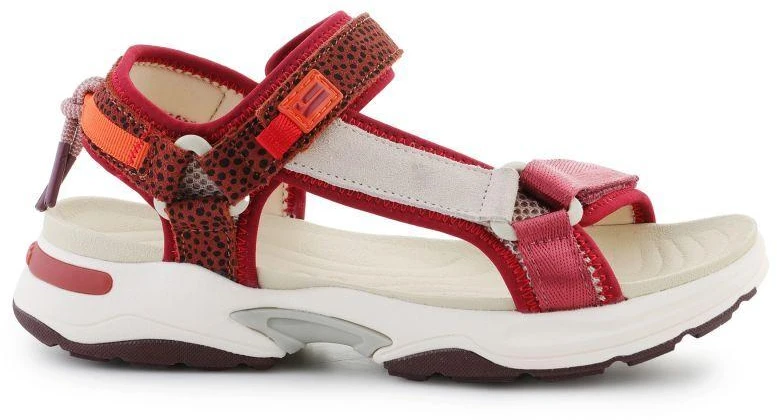 D. Franklin Sneaker Basutės Su Juostelėmis W DFSH406003-Burg