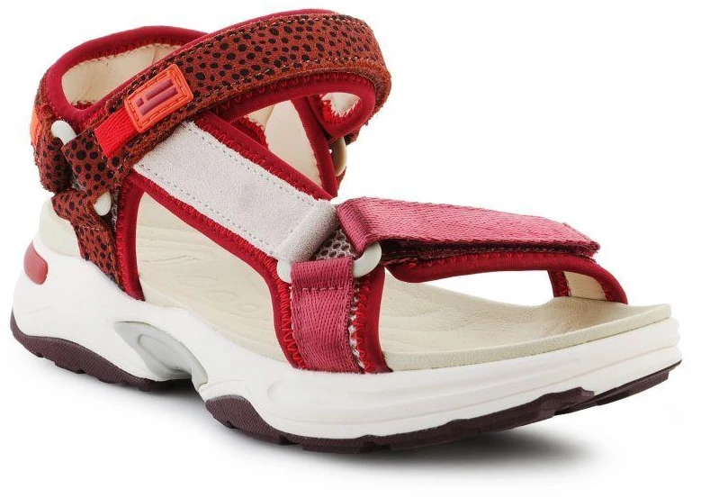 D. Franklin Sneaker Basutės Su Juostelėmis W DFSH406003-Burg