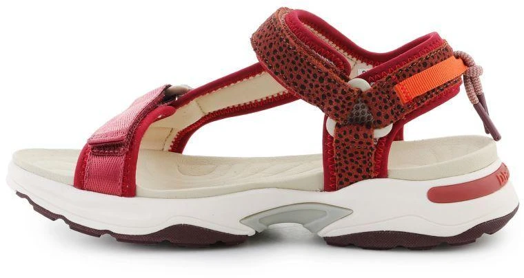 D. Franklin Sneaker Basutės Su Juostelėmis W DFSH406003-Burg