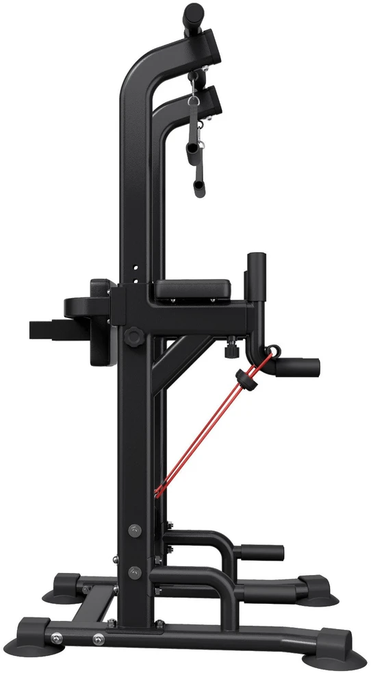 Vevor Laisvai stovinti prisitraukimų stotis 150 kg