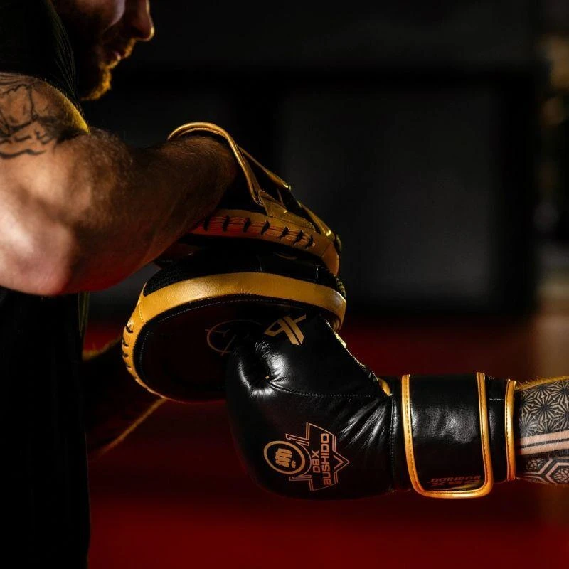 Daugiasluoksnės bokso pirštinės – ProFighter Gold – Legacy serija