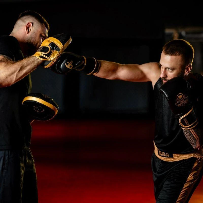 Daugiasluoksnės bokso pirštinės – ProFighter Gold – Legacy serija