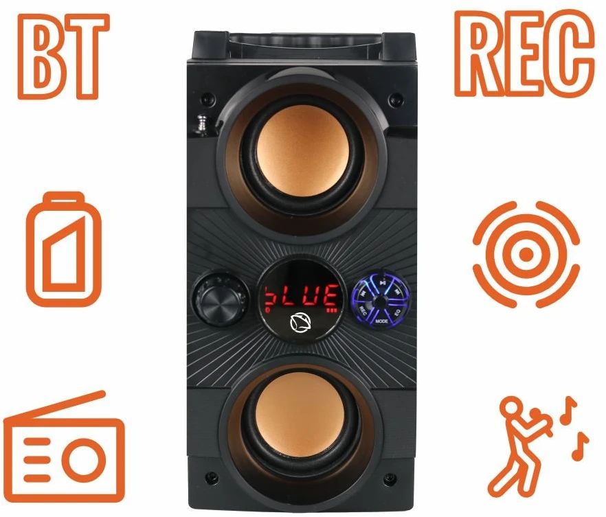 Dėklas Bluetooth garsiakalbis su FM radiju ir karaokės funkcija