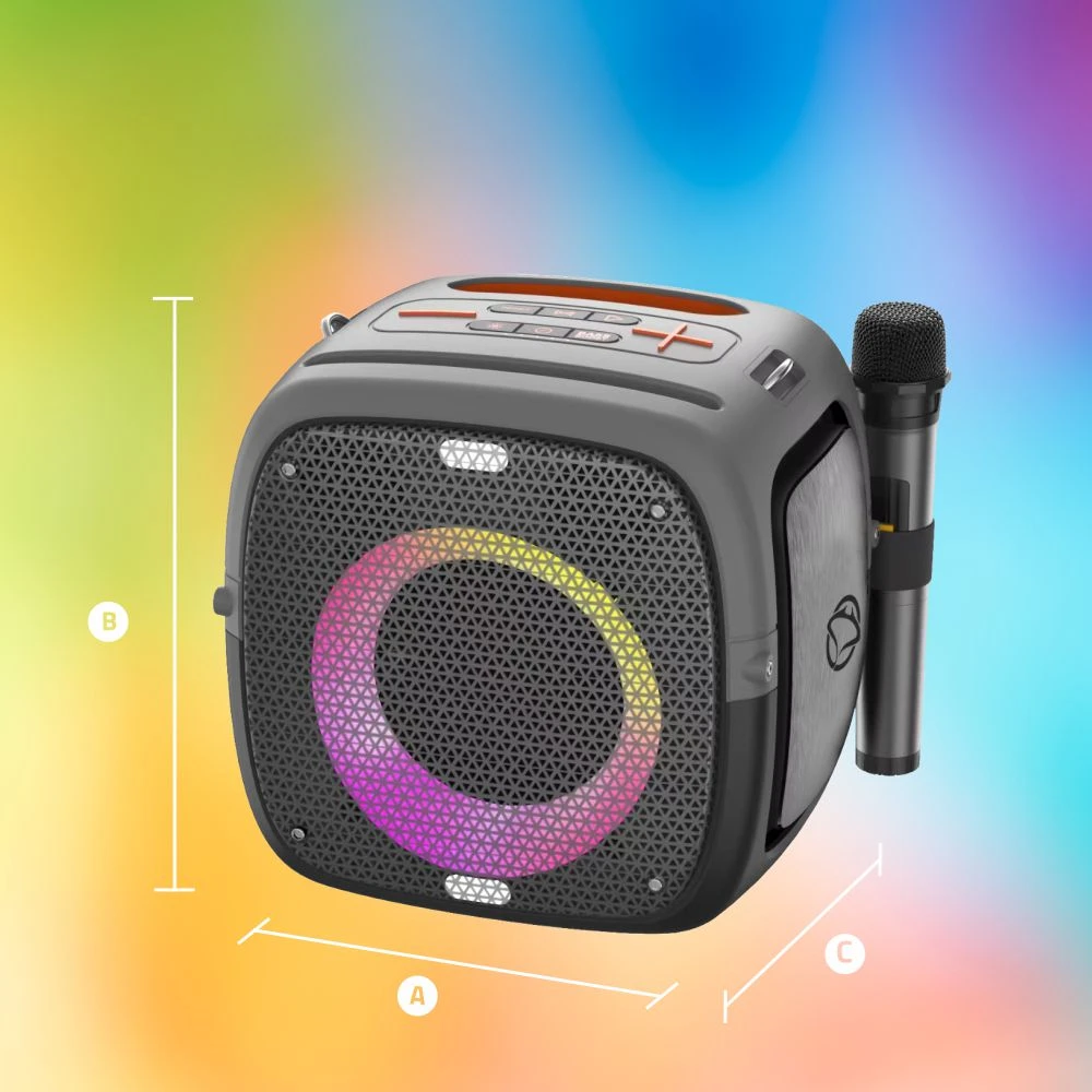 Dėklas Bluetooth karaokės kolonėlė Manta SPK340 Ares, IPX5