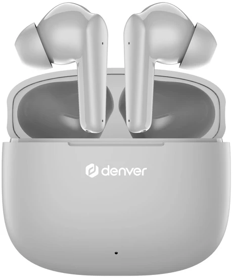Ausinės Denver TWE-48 pilkos spalvos