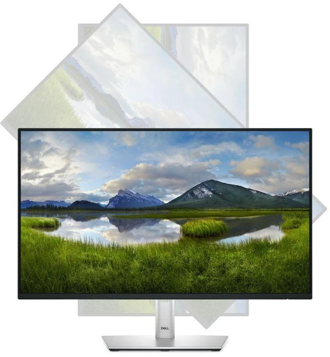 DELL LED monitorius 24" P2425HE