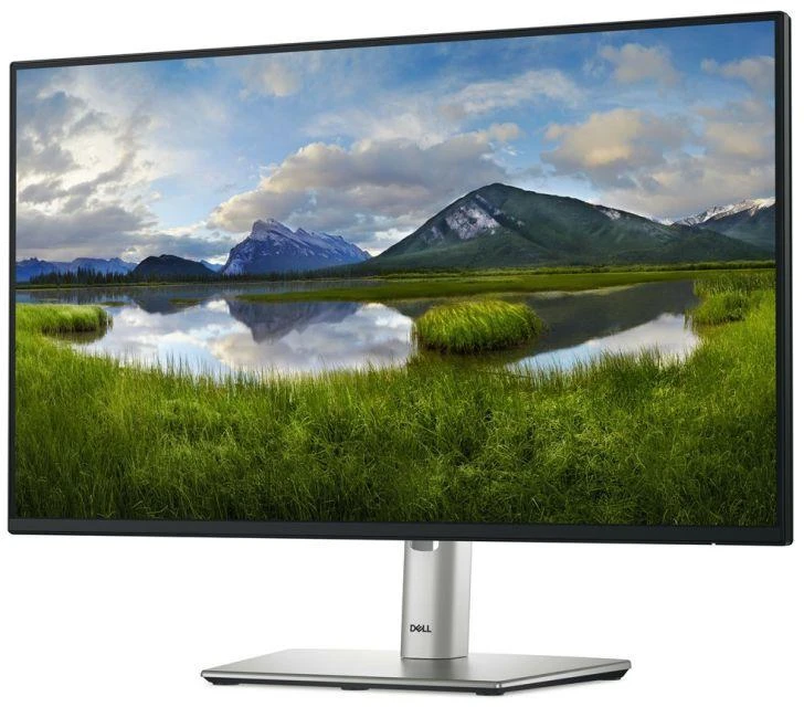 DELL LED monitorius 24" P2425HE