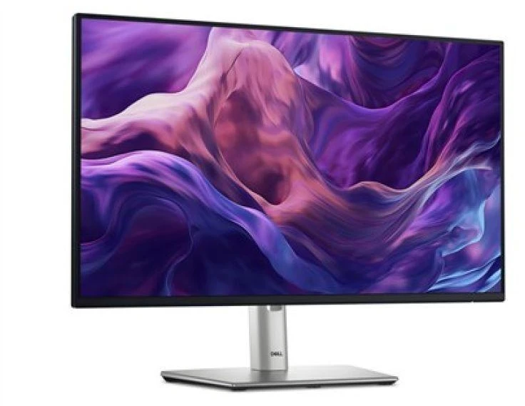 DELL LED monitorius 24" P2425HE