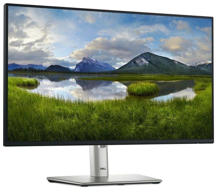 DELL LED monitorius 24" P2425HE