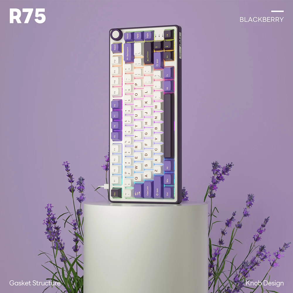 Royal Kludge RK R75 RGB Blackberry laidinė klaviatūra | 75%, Hot-swap, Sidabrinis switches, US aprašymas - Prekės nuotrauka