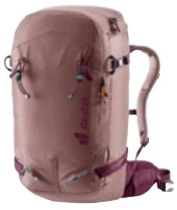 Deuter Freerider Pro 30+10 SL 30 l, bordo spalvos