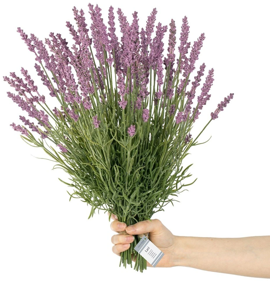 AmeliaHome Dirbtinė gėlė Lavi, 18 cm, 10 vnt