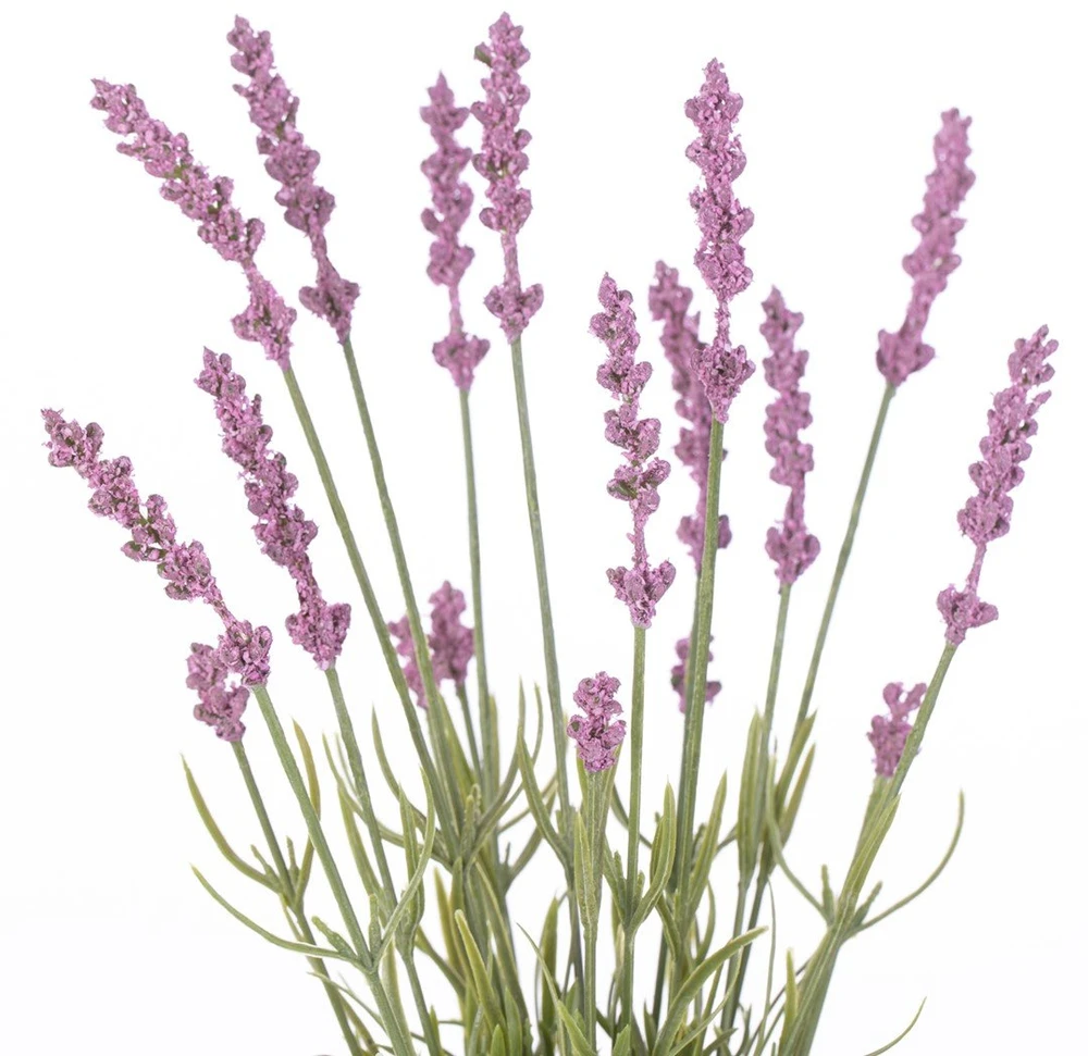 AmeliaHome Dirbtinė gėlė Lavi, 18 cm, 10 vnt
