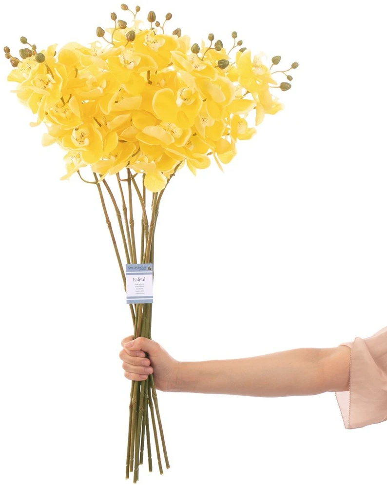 AmeliaHome Dirbtinė orchidėja Falení Honey, 10 vnt