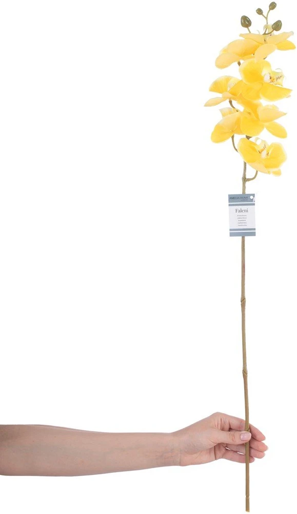 AmeliaHome Dirbtinė orchidėja Falení Honey, 10 vnt