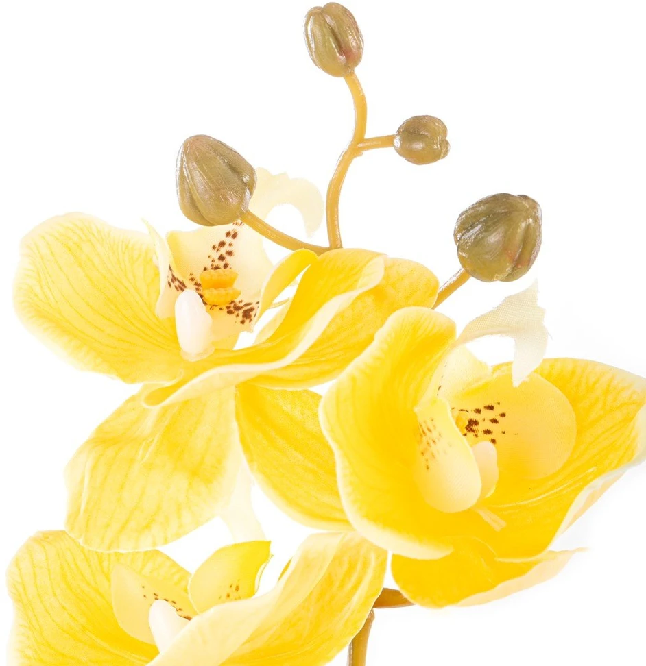 AmeliaHome Dirbtinė orchidėja Falení Honey, 10 vnt