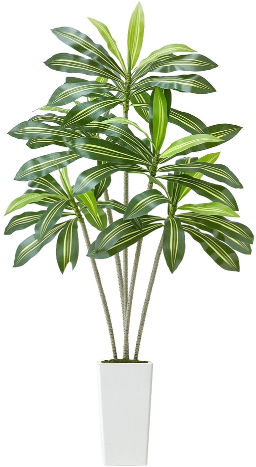 VEVOR Dirbtinė Dracena su baltu vazonu