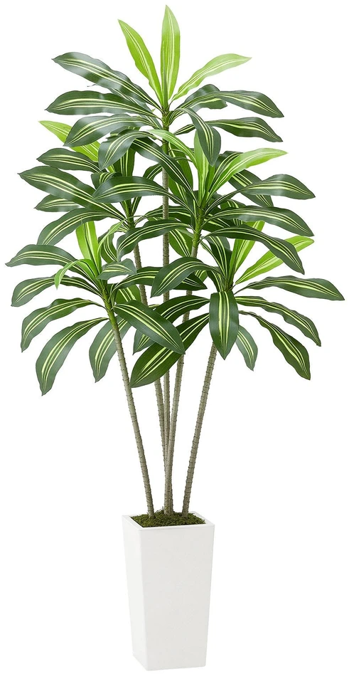 VEVOR Dirbtinė Dracena su baltu vazonu