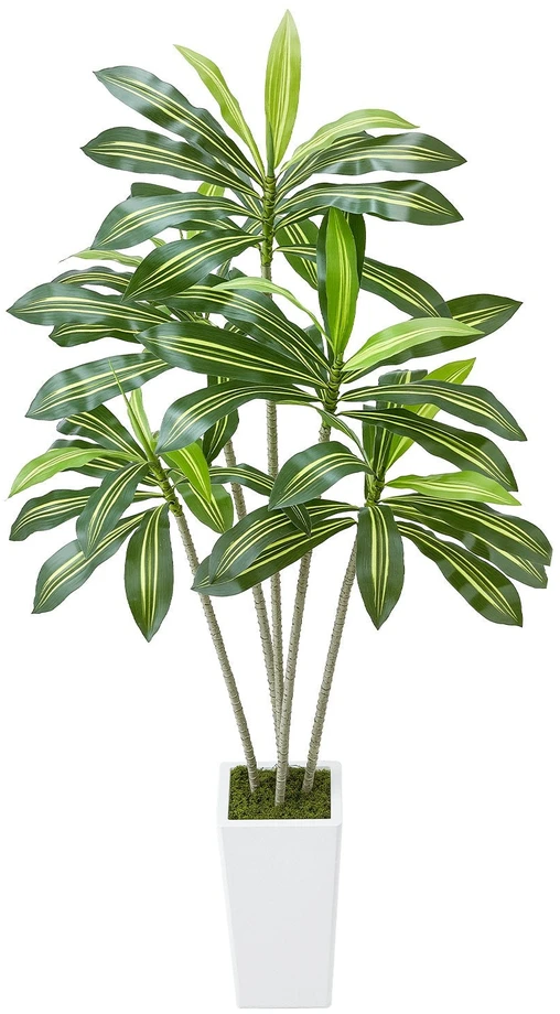 VEVOR Dirbtinė Dracena su baltu vazonu