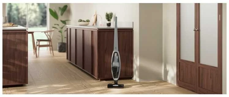Belaidis dulkių siurblys Electrolux 500 serija, ES52CB21DB