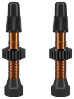 FV TCS Vožtuvas 34mm Oranžinis WTB