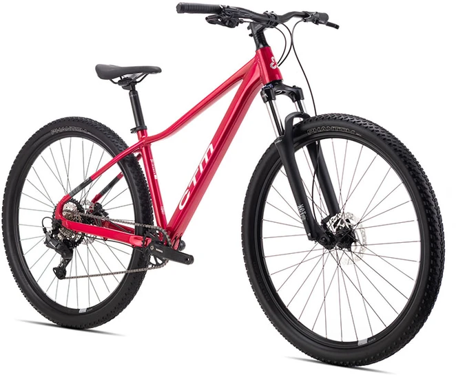 Dviratis CTM Charisma 1.0 29" dydis L