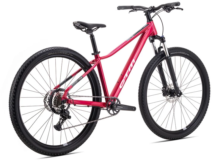 Dviratis CTM Charisma 1.0 29" dydis L