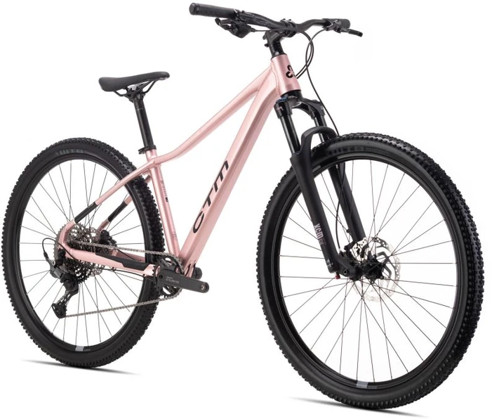 Dviratis CTM Charisma 4.0 29" dydis L