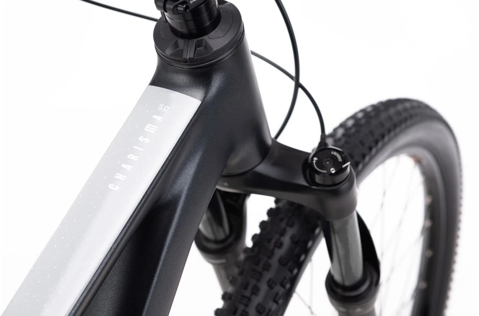 Dviratis CTM Charisma 5.0 29" dydis L
