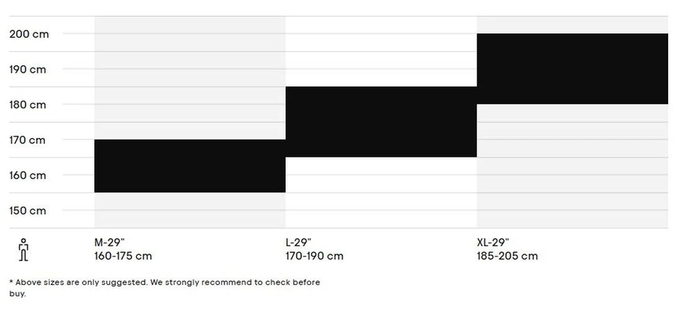 Dviratis CTM Rein 1.0 29"