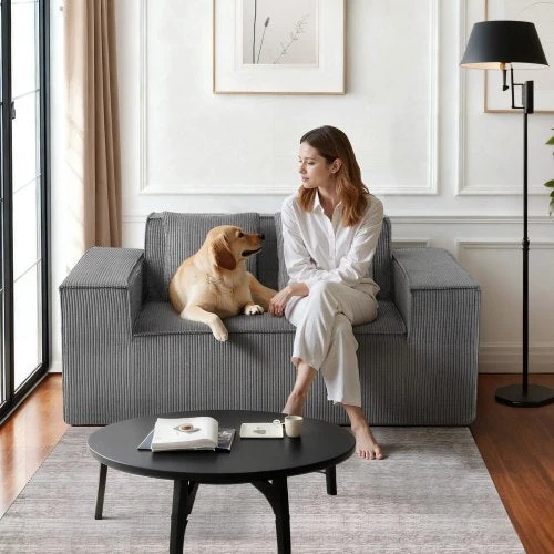 VEVOR Dviejų vietų šviesiai pilkas sofa be surinkimo
