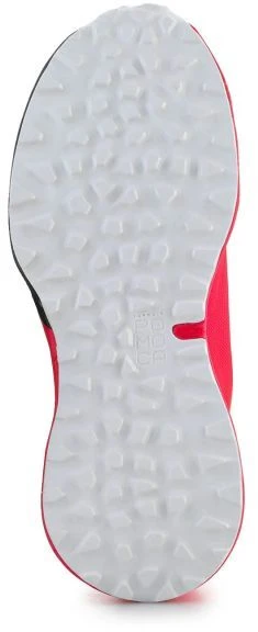 Dynafit Ultra 100 W 64052-6437 Bėgimo bateliai
