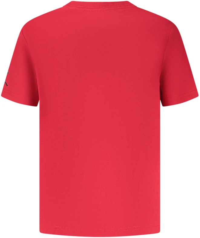 Dziecięcy T-shirt Jordan su nadrukiem i haftem