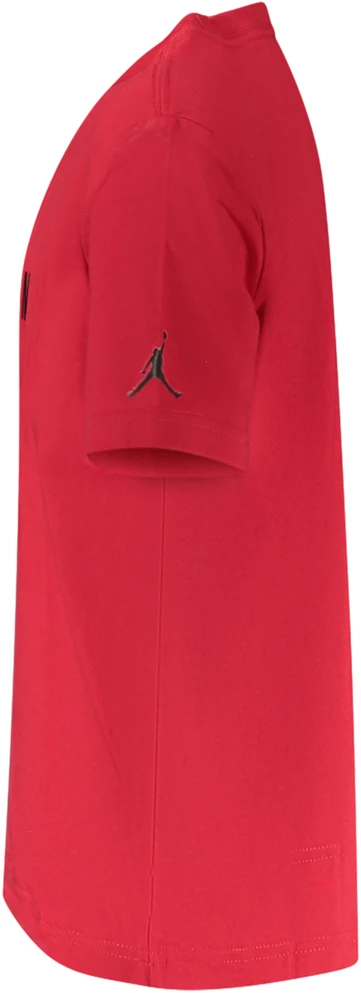 Dziecięcy T-shirt Jordan su nadrukiem i haftem