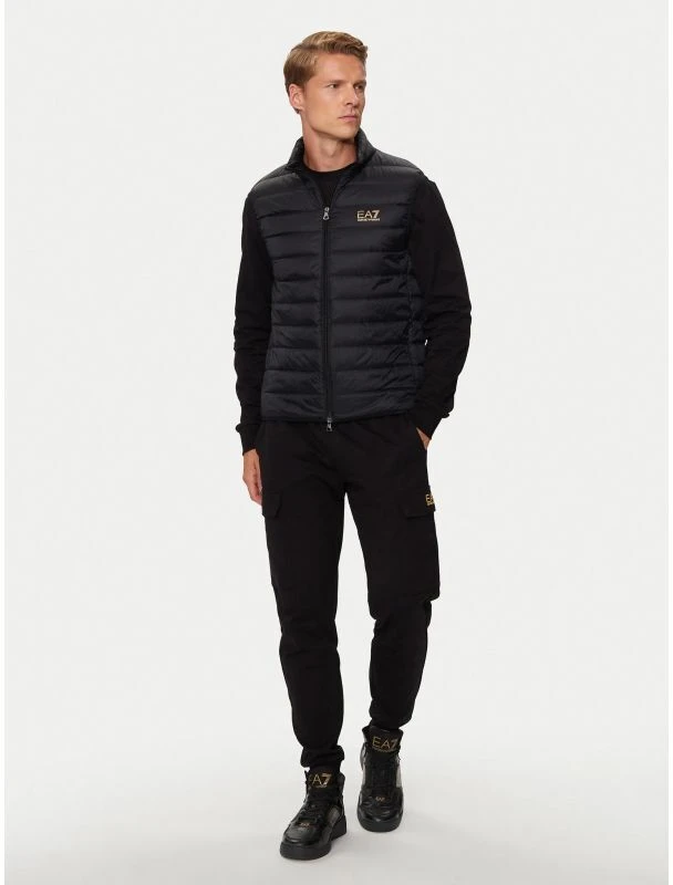 EA7 Emporio Armani Striukė su Pamušalu M 8NPQ06-PNGPZ-0208