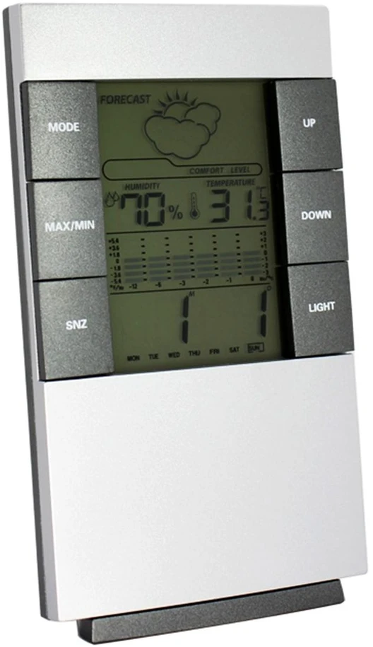 ZG4 Elektroninis termometras namams