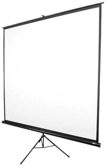 Elite Screens | su stovu Series | T99NWS1 | Įstrižainė 99" | 1:1 | Matomo vaizdo plotis (W) 178 cm | Baltas