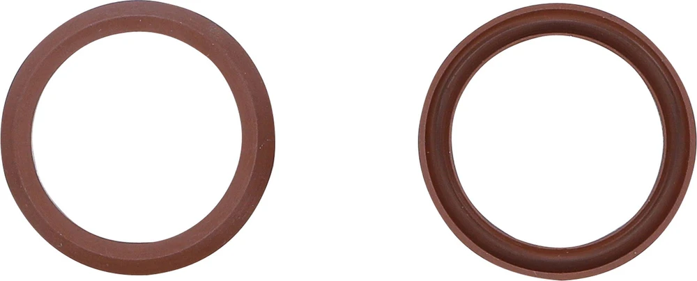 FLUOROELASTOMERINIAI SANDARIKLIAI, SKIRTI BGS 4067 (4067-1)