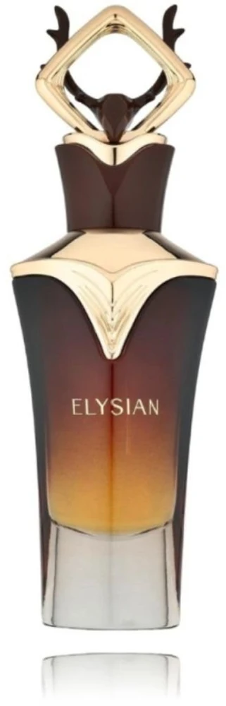 French Avenue Elysian EDP parfumuotas vanduo vyrams, 80 ml