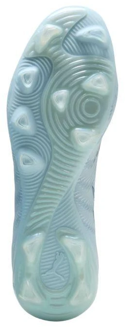 Futbolo bateliai Puma Future 9 Pro FG/AG 108712 03
