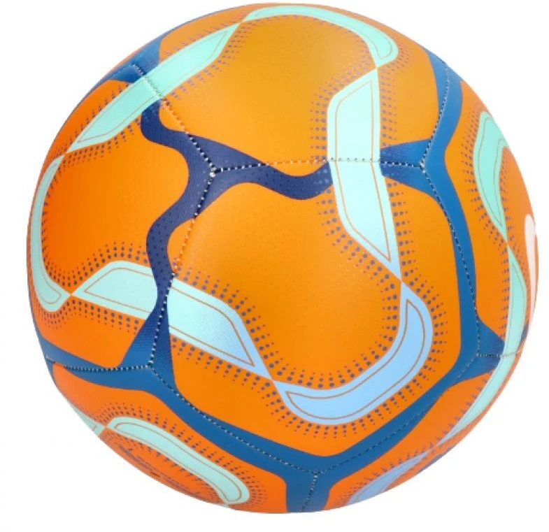 Futbolo kamuolys Nike Premier League Pitch FZ3048-869