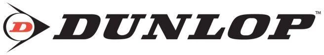 Futbolo vartai su tinkleliu 300x200x110 cm Allround Dunlop - 0666