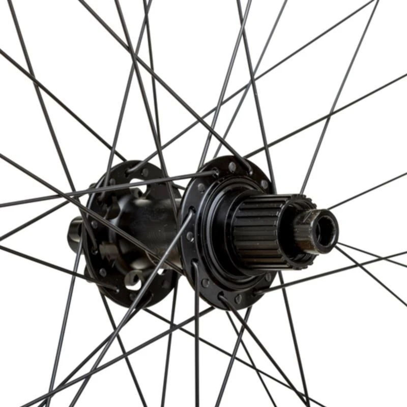 Galinis dviračio ratas WTB Proterra i30, 29 colių, 148 × 12 mm